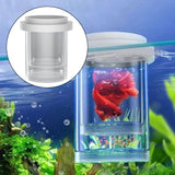 Maxbell Fish Breeding Box Aquarium Tank Hatchery Incubator for Guppy Clownfish Betta White
