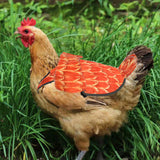 Chicken Apron for Hens Accessories Gifts Reusable Lightweight Chicken Saddle Style B