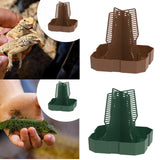 Maxbell Bearded Dragon Feeder Chameleon Feeding Station for Frog Lizard Climbing Pet Brown