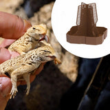 Maxbell Bearded Dragon Feeder Chameleon Feeding Station for Frog Lizard Climbing Pet Brown