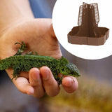 Maxbell Bearded Dragon Feeder Chameleon Feeding Station for Frog Lizard Climbing Pet Brown