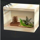 Maxbell Bearded Dragon Feeder Chameleon Feeding Station for Frog Lizard Climbing Pet Brown