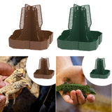 Maxbell Bearded Dragon Feeder Chameleon Feeding Station for Frog Lizard Climbing Pet Brown