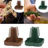 Maxbell Bearded Dragon Feeder Chameleon Feeding Station for Frog Lizard Climbing Pet Brown
