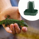 Maxbell Bearded Dragon Feeder Chameleon Feeding Station for Frog Lizard Climbing Pet Green