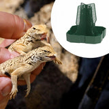 Maxbell Bearded Dragon Feeder Chameleon Feeding Station for Frog Lizard Climbing Pet Green