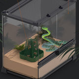 Maxbell Bearded Dragon Feeder Chameleon Feeding Station for Frog Lizard Climbing Pet Green