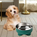 Maxbell Cat Dog Bowl Multiuse Easy to Clean Anti Slip Sturdy Stylish Water Food Bowl Green