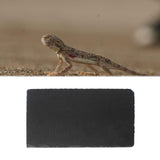 Maxbell Reptile Basking Platform Bathing Rock Food Bowl for Turtle Geckos Snake Frog