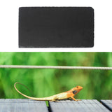 Maxbell Reptile Basking Platform Bathing Rock Food Bowl for Turtle Geckos Snake Frog