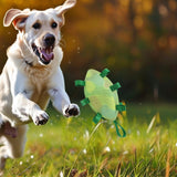 Maxbell Dog Rugby Football Toy Soft Pets Molar Interactive for Game Chasing Exercise Green Luminous