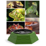 Maxbell Reptile Maze Feeding Bowl Multifunctional Lightweight Water Dish for Lizards