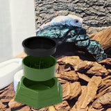 Maxbell Reptile Maze Feeding Bowl Multifunctional Lightweight Water Dish for Lizards