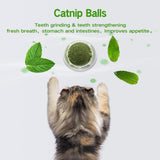 Maxbell 2 Pieces Cats Catnip Balls Cats Face Scratchers for Stick on Table Leg Window