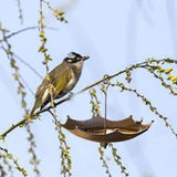 Maxbell Hanging Bird Bath Yard Decor Sturdy Metal Bird Feeder for Porch Tree Pathway