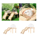 Maxbell Hamster Sand Bath Container with Wooden Ladder for Pet Supplies Gerbils Mice S