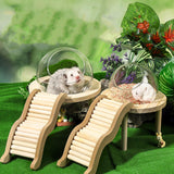 Maxbell Hamster Sand Bath Container with Wooden Ladder for Pet Supplies Gerbils Mice S