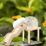 Maxbell Hamster Sand Bath Container with Wooden Ladder for Pet Supplies Gerbils Mice S