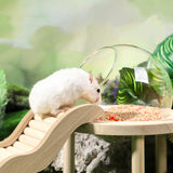 Maxbell Hamster Sand Bath Container with Wooden Ladder for Pet Supplies Gerbils Mice S