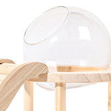 Maxbell Hamster Sand Bath Container with Wooden Ladder for Pet Supplies Gerbils Mice L