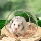 Maxbell Hamster Sand Bath Container with Wooden Ladder for Pet Supplies Gerbils Mice L