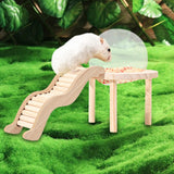 Maxbell Hamster Sand Bath Container with Wooden Ladder for Pet Supplies Gerbils Mice L