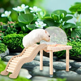 Maxbell Hamster Sand Bath Container with Wooden Ladder for Pet Supplies Gerbils Mice L