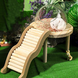 Maxbell Hamster Sand Bath Container with Wooden Ladder for Pet Supplies Gerbils Mice L