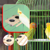 Maxbell Bird Feeder for Cage Large Capacity Feeding Cup for Parrots Budgie Cockatiel Double bowl