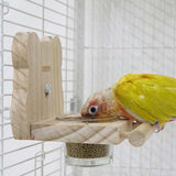 Maxbell Bird Feeding Dish Cups Container Cage Water Bowl for Parrot Budgie Lovebirds 12cmx9.5cm