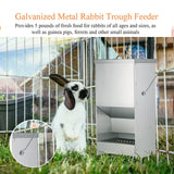 Maxbell Small Animal Feeder with Lid for Chinchillas Guinea Pigs Other Small Animals