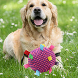 Maxbell Pet Toy Plush Ball Pet Supplies Soft Fuzzy Kitten Ball for Dog Birthday Gifts Rose red