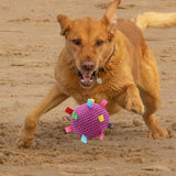 Maxbell Pet Toy Plush Ball Pet Supplies Soft Fuzzy Kitten Ball for Dog Birthday Gifts Rose red