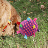 Maxbell Pet Toy Plush Ball Pet Supplies Soft Fuzzy Kitten Ball for Dog Birthday Gifts Rose red