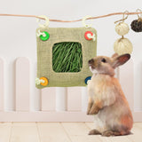 Maxbell Guinea Pig Hay Bag Hanging Hanging Hay Feeder for Guinea Pigs Bunny Hamsters