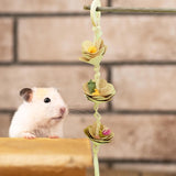 Maxbell Hanging Chew Treats Hamster Accessories Foraging Toys for Gerbils Bunny Rats