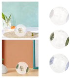 Maxbell Hamster Ball Clear Easy to Clean Running Wheel for Dwarf Small Pets Hamsters White