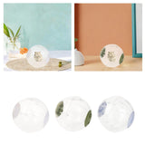 Maxbell Hamster Ball Clear Easy to Clean Running Wheel for Dwarf Small Pets Hamsters White