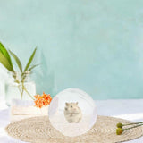 Maxbell Hamster Ball Clear Easy to Clean Running Wheel for Dwarf Small Pets Hamsters White