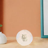 Maxbell Hamster Ball Clear Easy to Clean Running Wheel for Dwarf Small Pets Hamsters White
