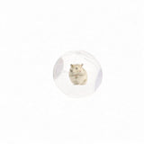 Maxbell Hamster Ball Clear Easy to Clean Running Wheel for Dwarf Small Pets Hamsters White