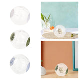 Maxbell Hamster Ball Clear Easy to Clean Running Wheel for Dwarf Small Pets Hamsters White