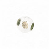 Maxbell Hamster Ball Clear Easy to Clean Running Wheel for Dwarf Small Pets Hamsters Green