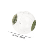 Maxbell Hamster Ball Clear Easy to Clean Running Wheel for Dwarf Small Pets Hamsters Green