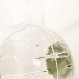 Maxbell Hamster Ball Clear Easy to Clean Running Wheel for Dwarf Small Pets Hamsters Green