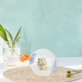 Maxbell Hamster Ball Clear Easy to Clean Running Wheel for Dwarf Small Pets Hamsters Blue