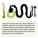 Maxbell Outdoor Bungee Tug Toy for Pitbull for Small to Large Dogs Play Cord Dog Toy green ring