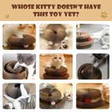 Maxbell Organ Cat Scratching Board Cat Toy Interactive Gift Pet Supplies Scratch Pad