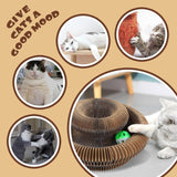 Maxbell Organ Cat Scratching Board Cat Toy Interactive Gift Pet Supplies Scratch Pad