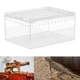 Maxbell Reptile Breeding Box Acrylic Animal Habitat Cage for Turtle Geckos Container 20cmx15cmx10cm